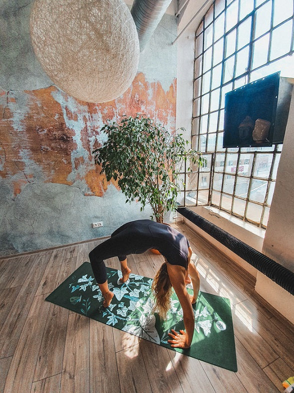 964e46261c3f3082a6c060bd5bb49038