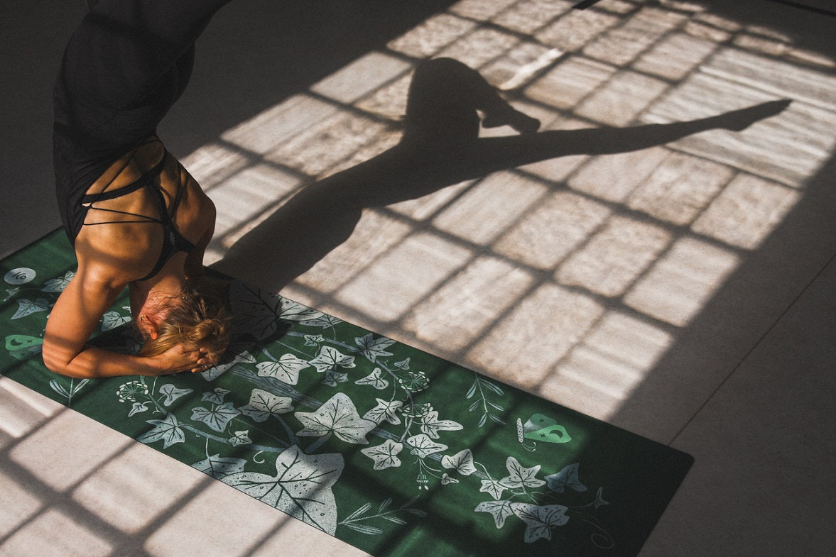 a9d461916dd0215c2eb0c9cadd79db87