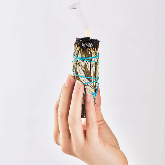 cc7636f01d403794cbf02dec6e110342